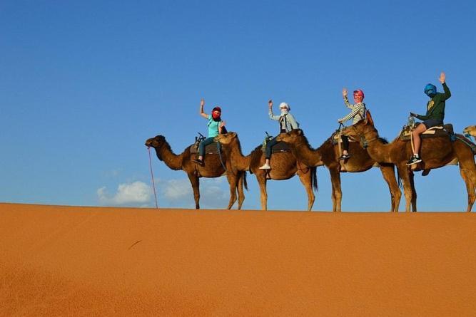 מלון מרזאוגה Sahara Safari Camp מראה חיצוני תמונה