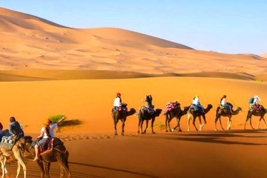 מלון מרזאוגה Sahara Safari Camp מראה חיצוני תמונה